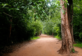 Paysage du Cambodge